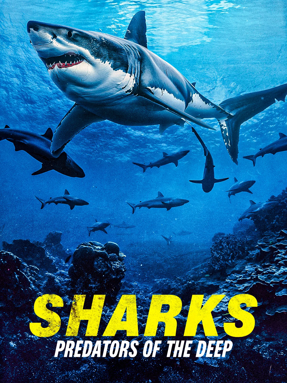Sharks: Predators of the