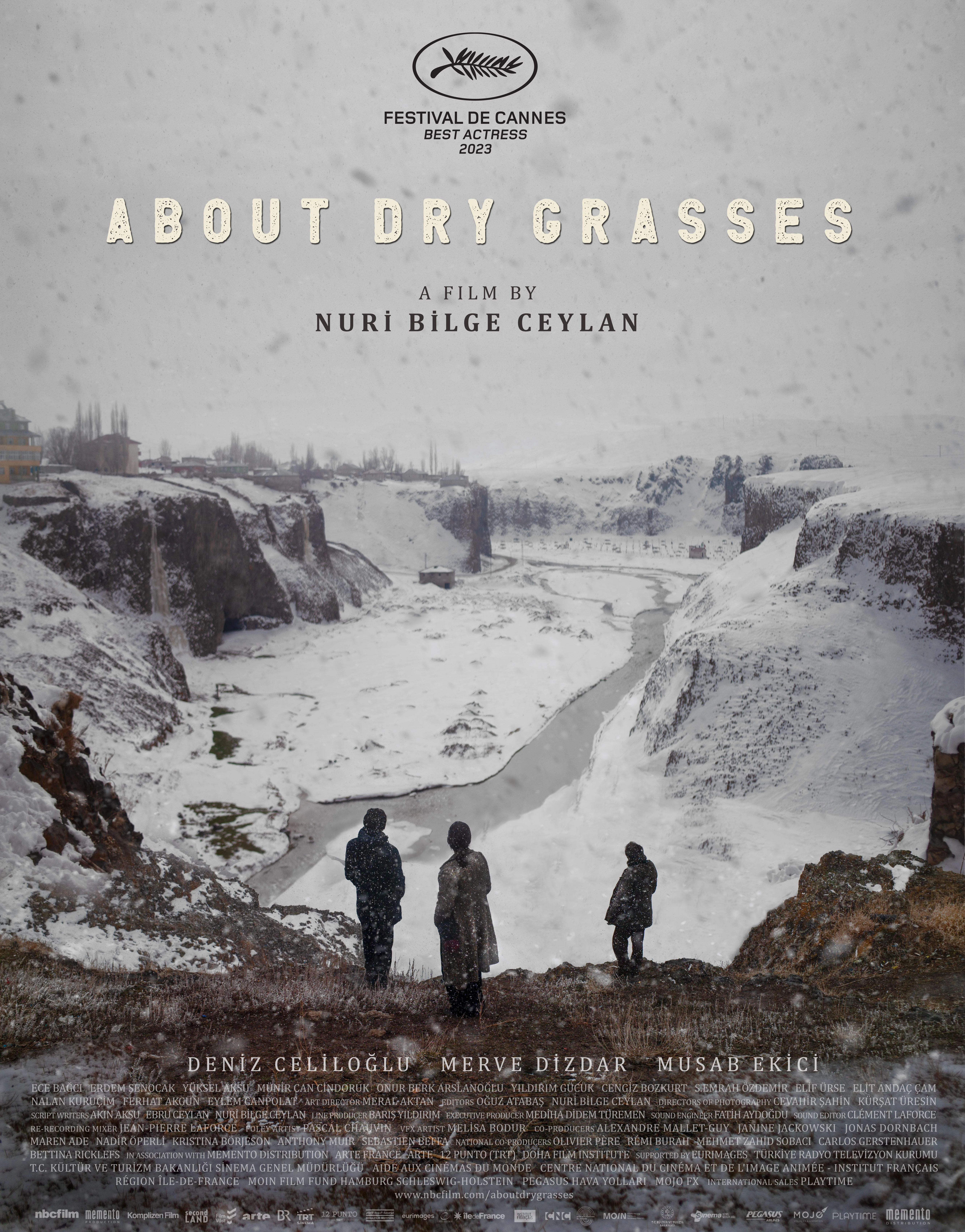 About Dry Grasses (2023)