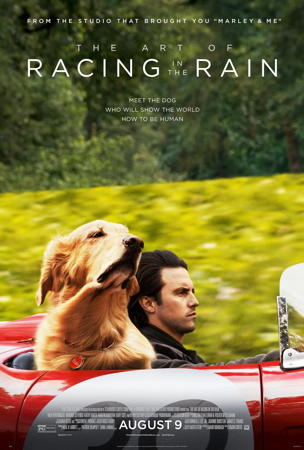 The Art of Racing in the