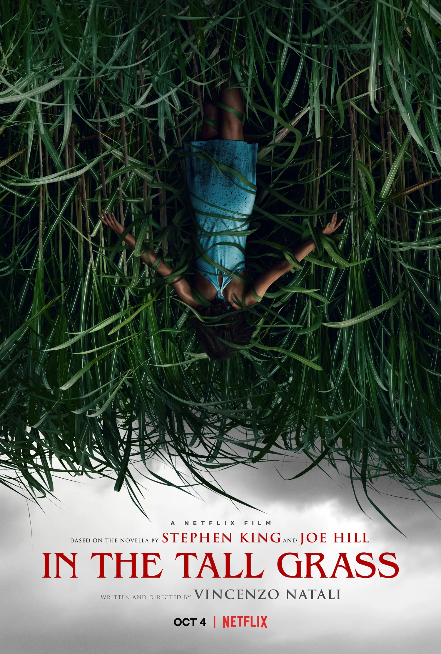 In the Tall Grass (2019)