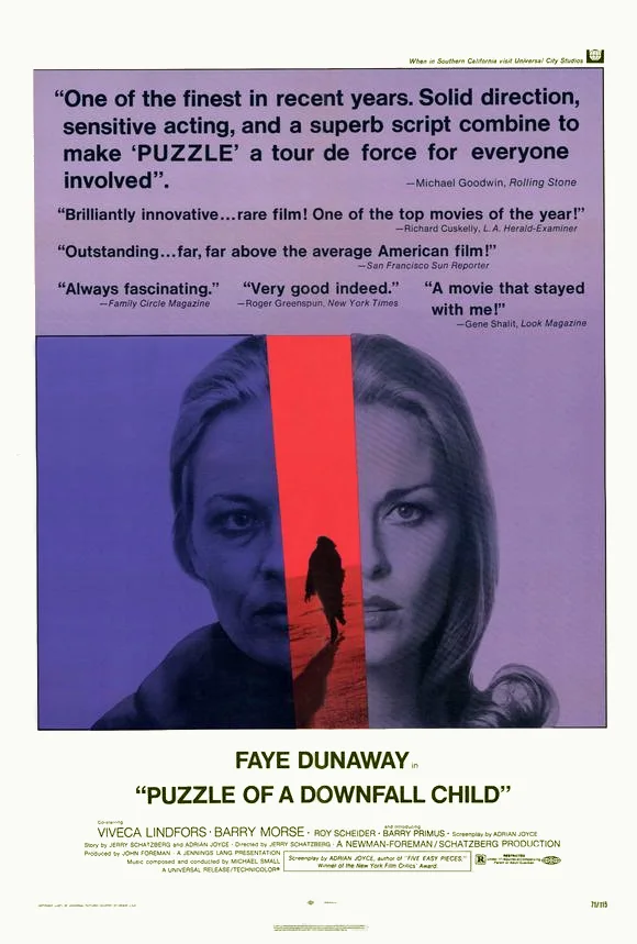 Puzzle of a Downfall Child (1970)