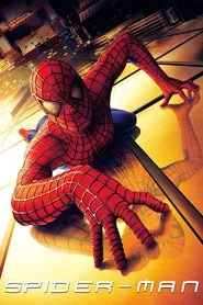 Spider-Man 2002 Online Subtitrat