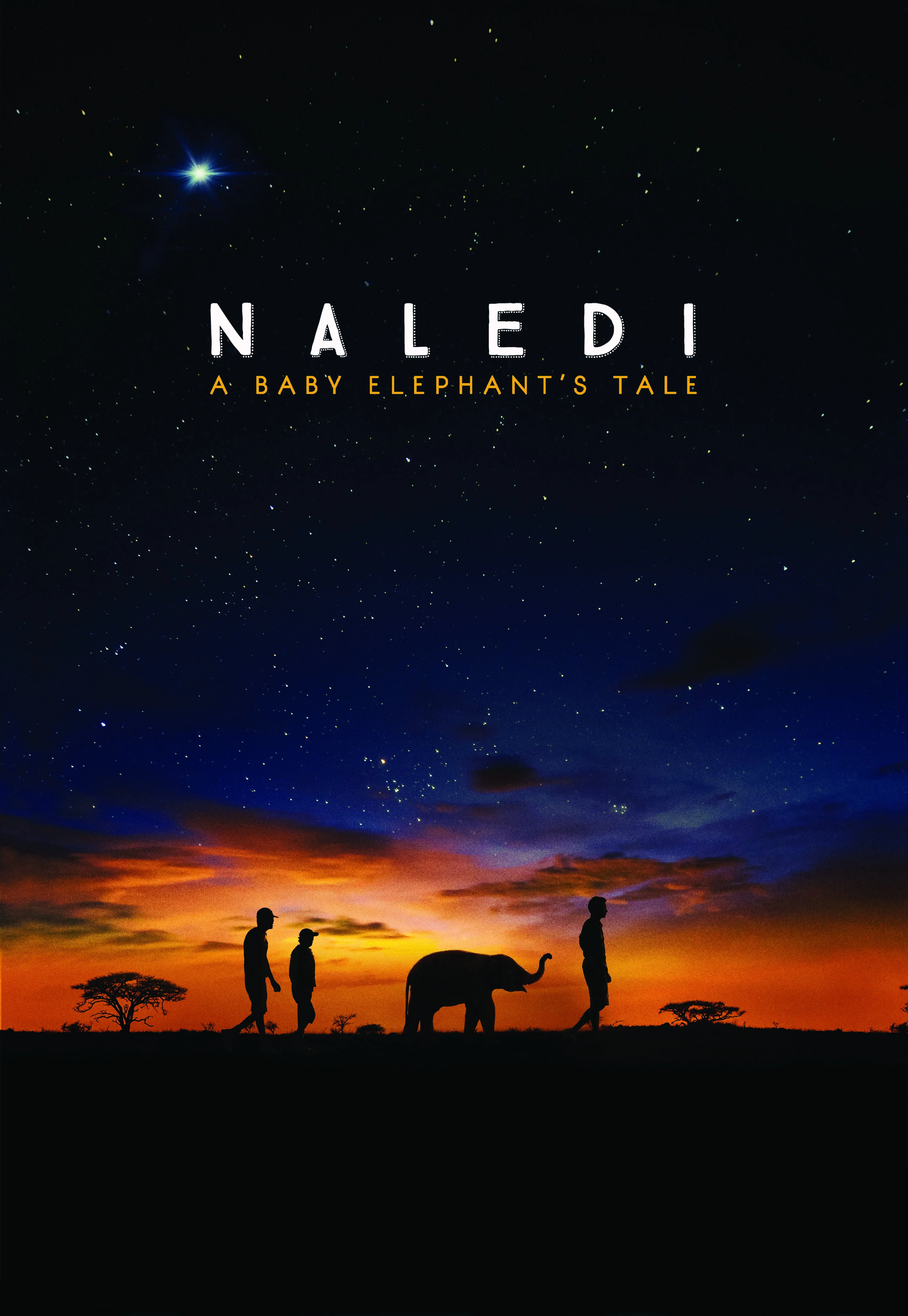 Naledi: A Baby Elephant’s