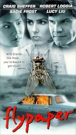 Flypaper (1999)