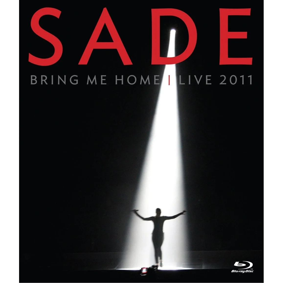Safe (2012)