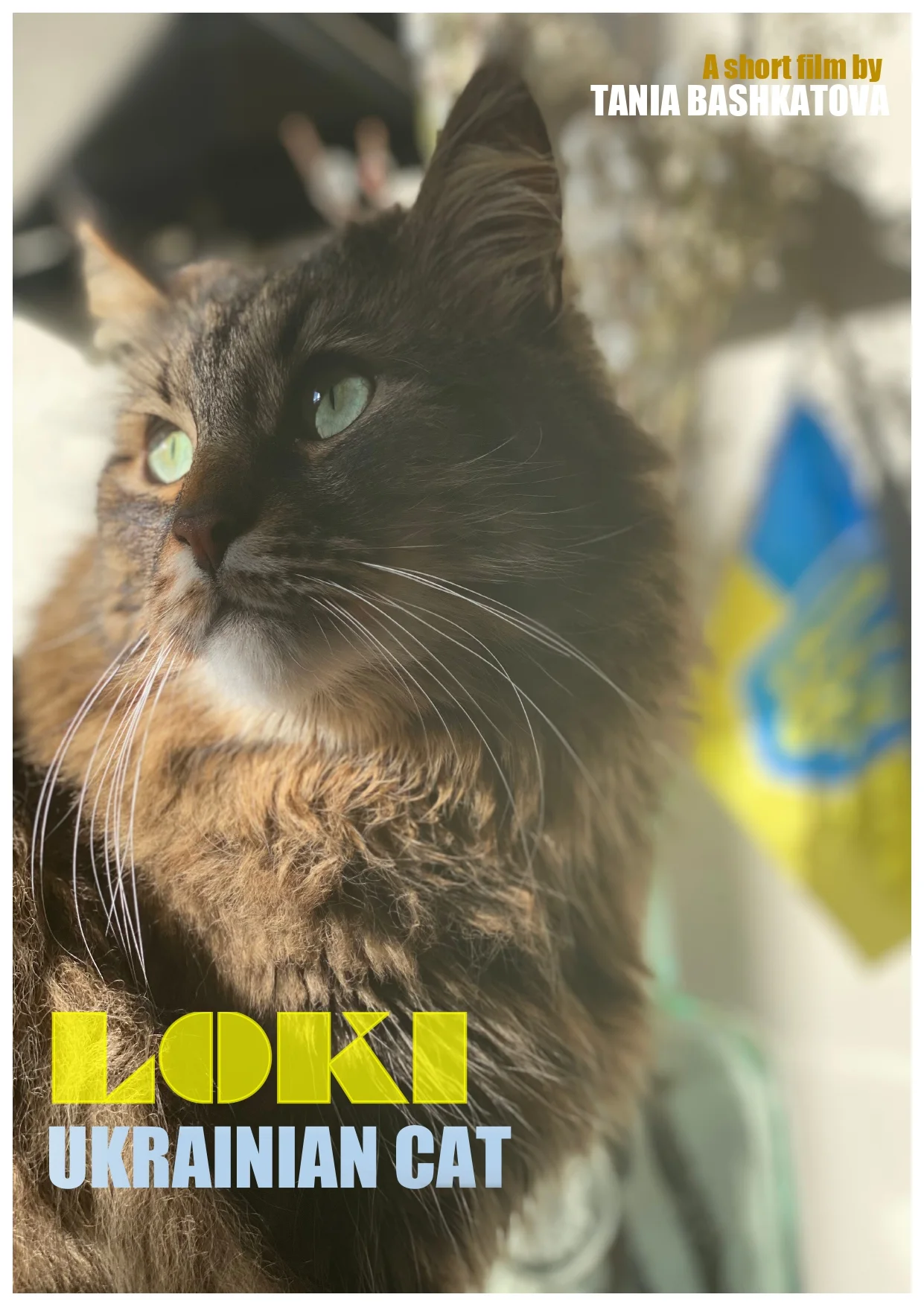 Loki