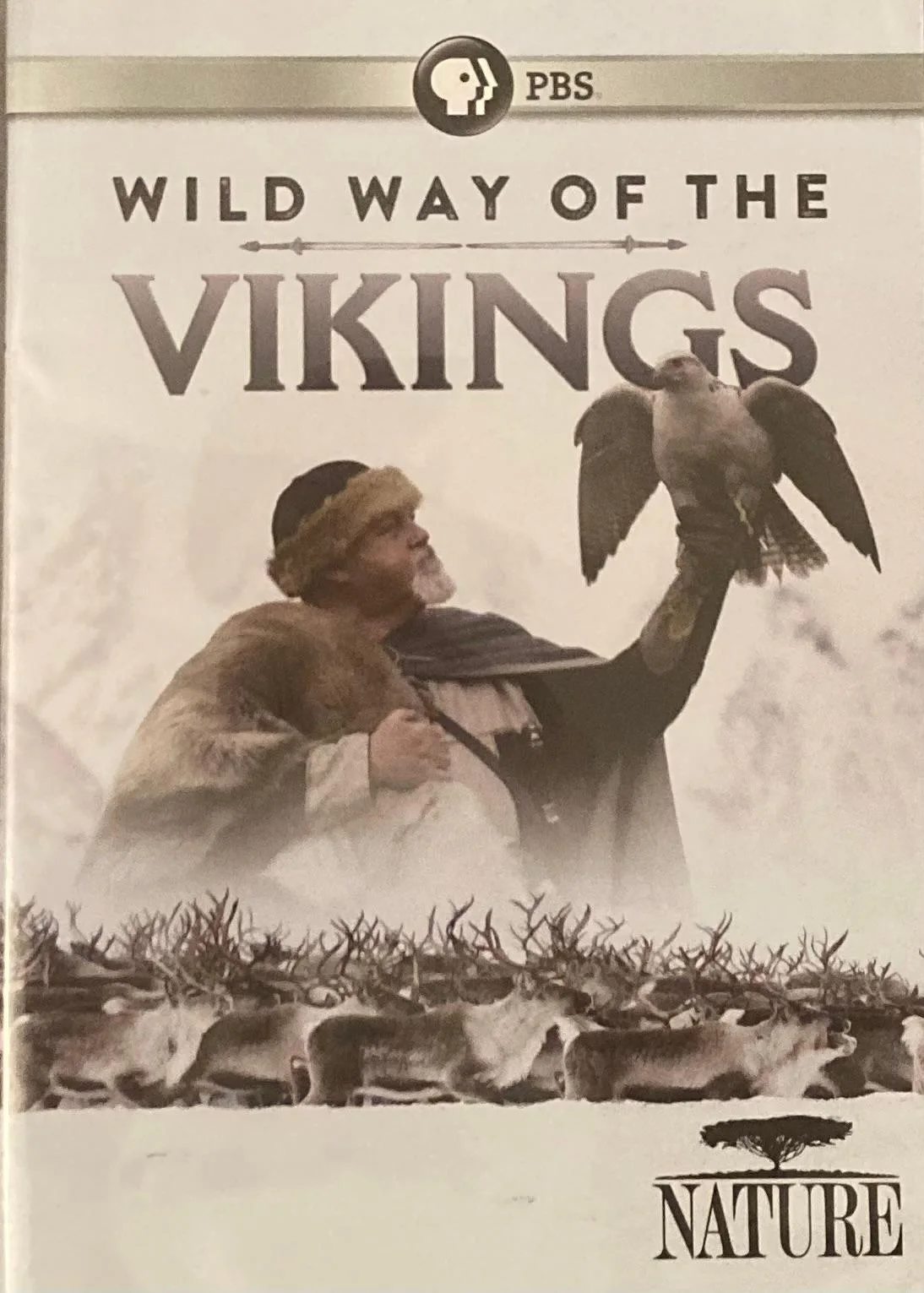 Wild Way of the Vikings