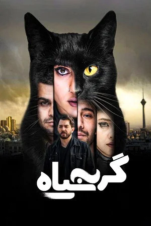 The Black Cat (1934)