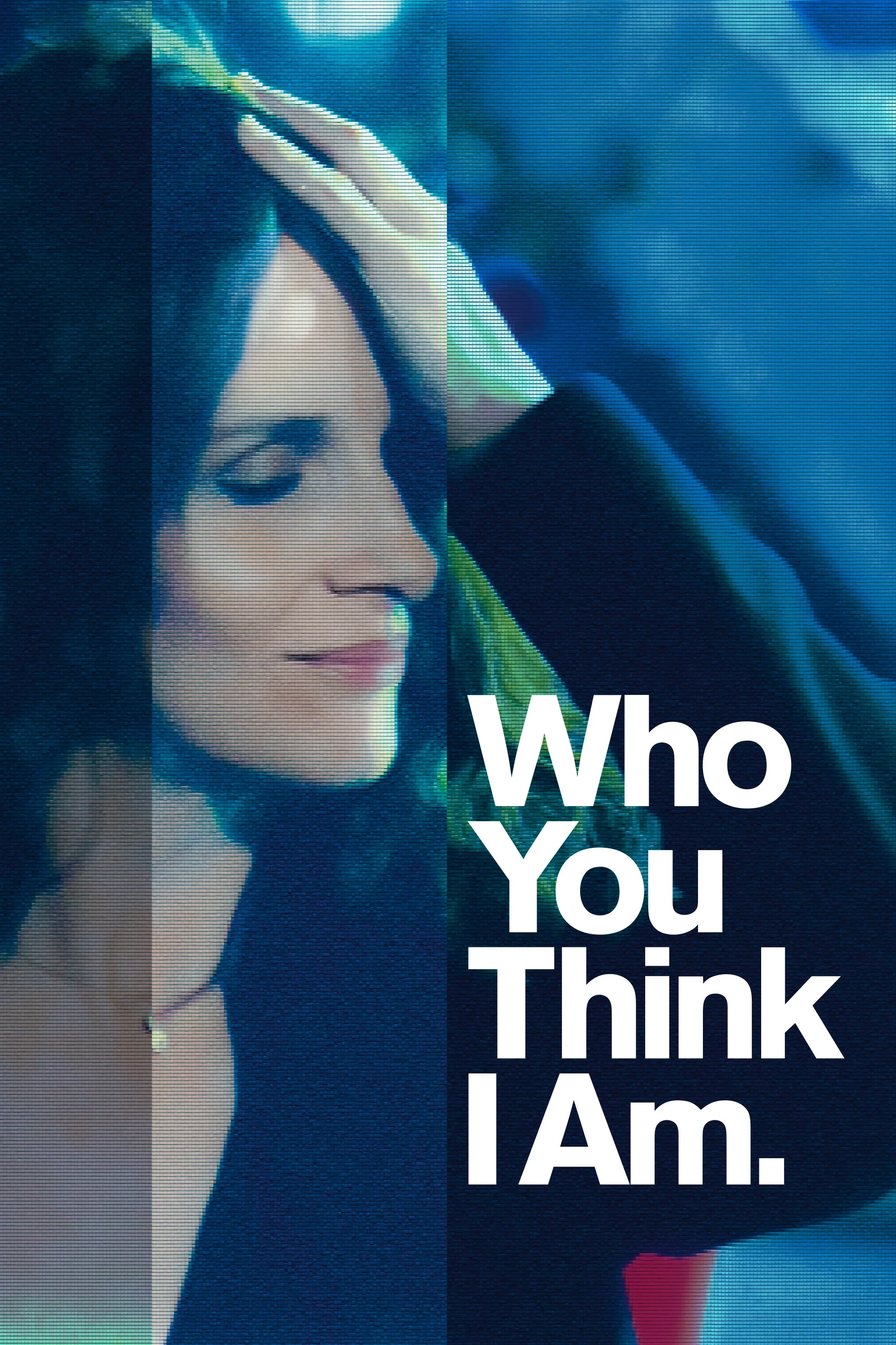 Who You Think I Am (2019)