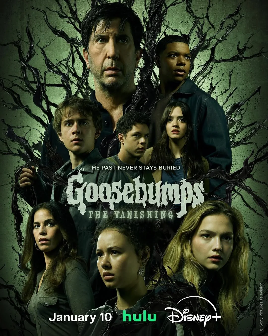 Goosebumps: The Vanishing