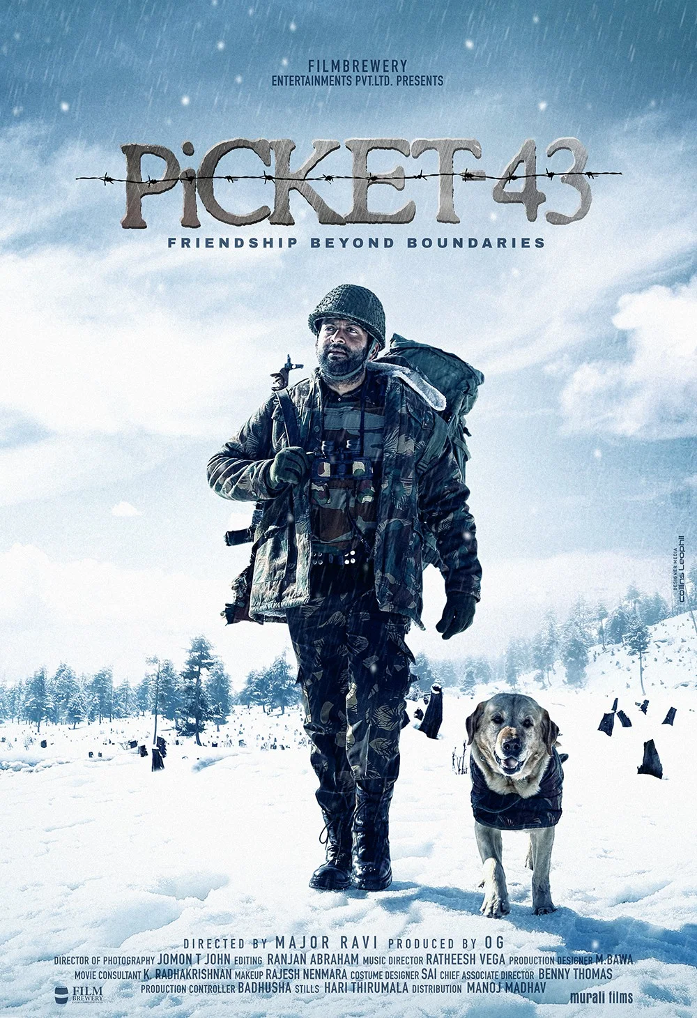 Picket 43 – Unitatea 43