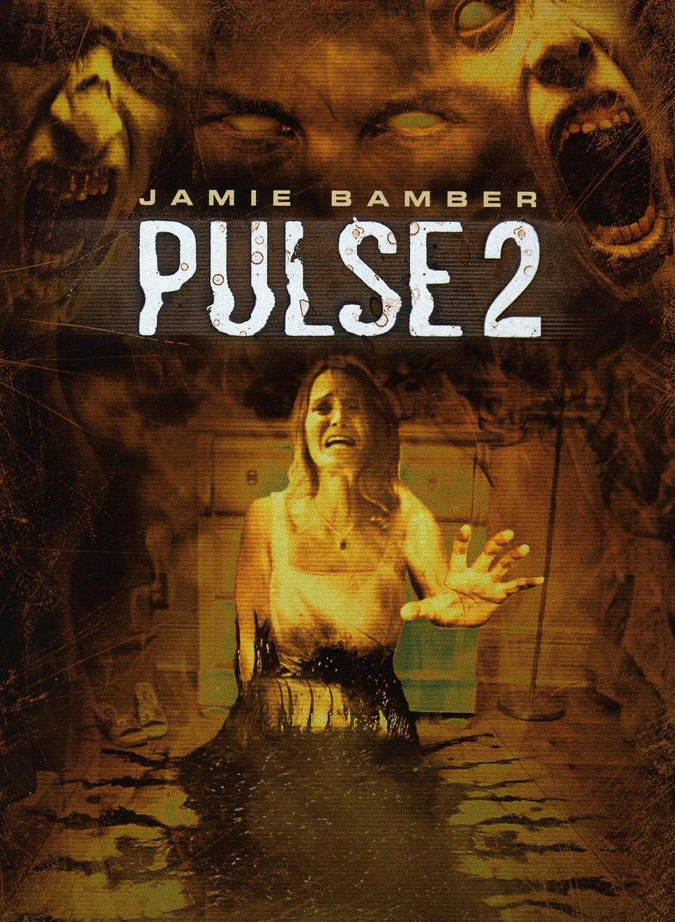 Pulse 2: Afterlife (2008)