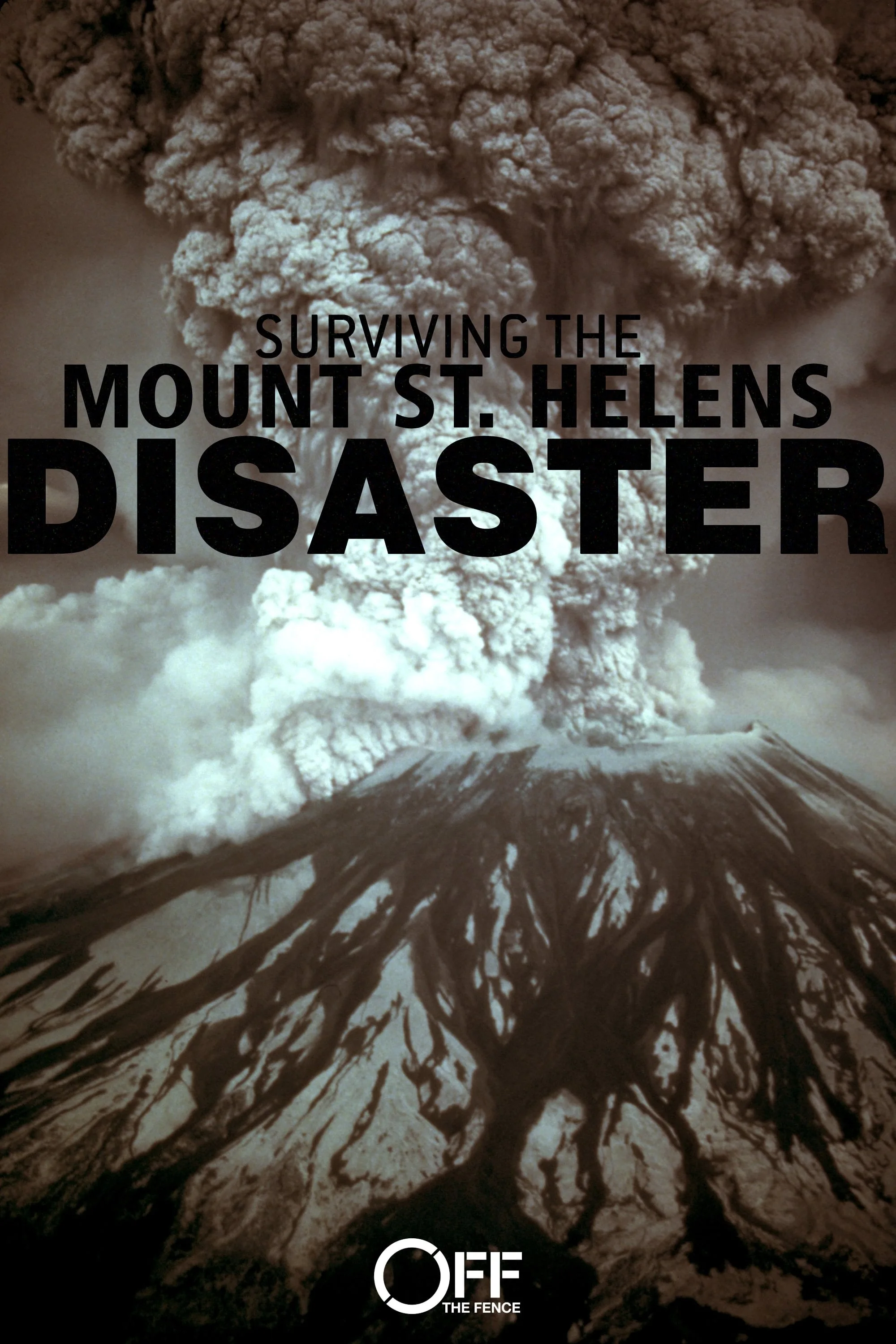 Surviving the Mount St. Helens Disaster (2020)