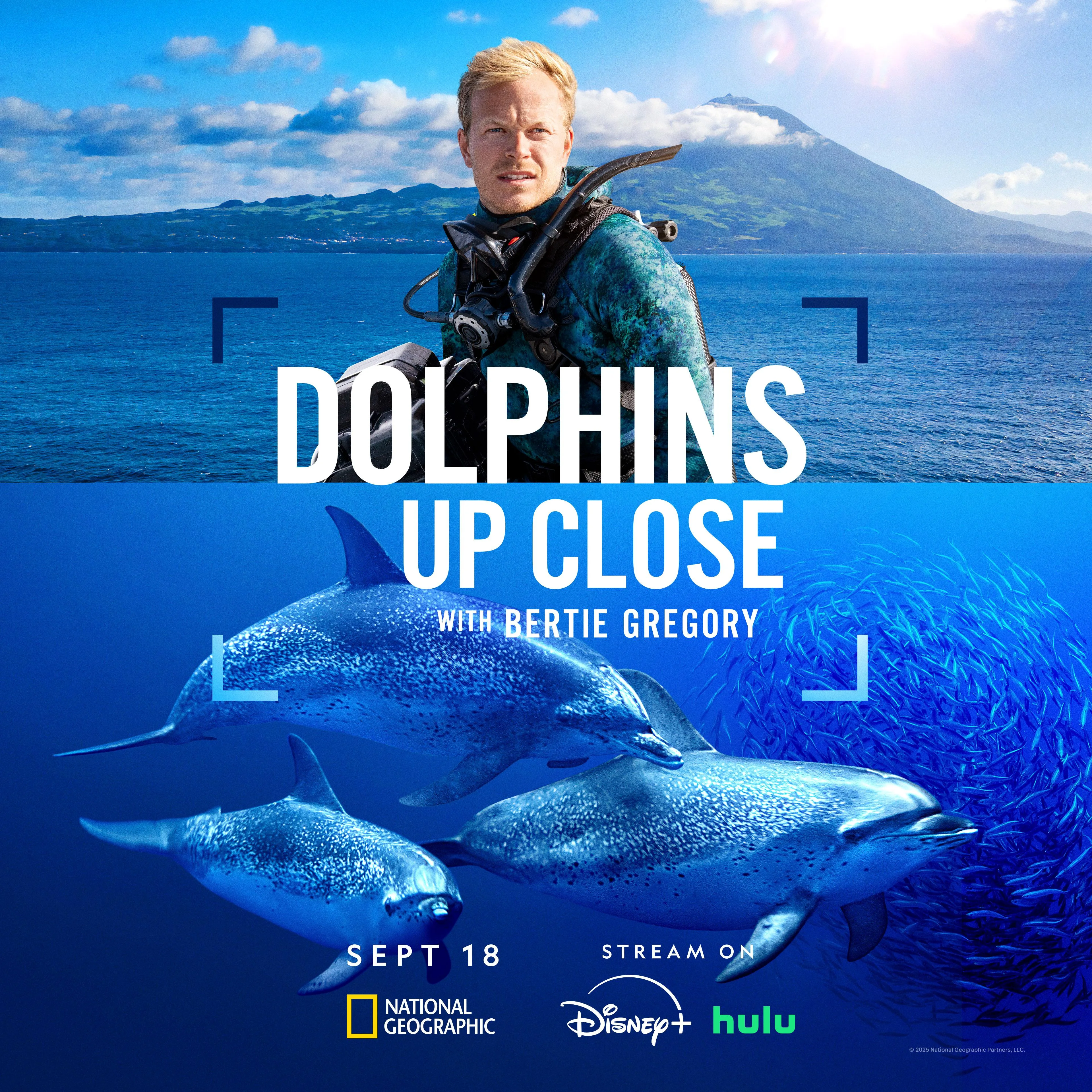 Dolphins Up Close with Bertie Gregory (2025)