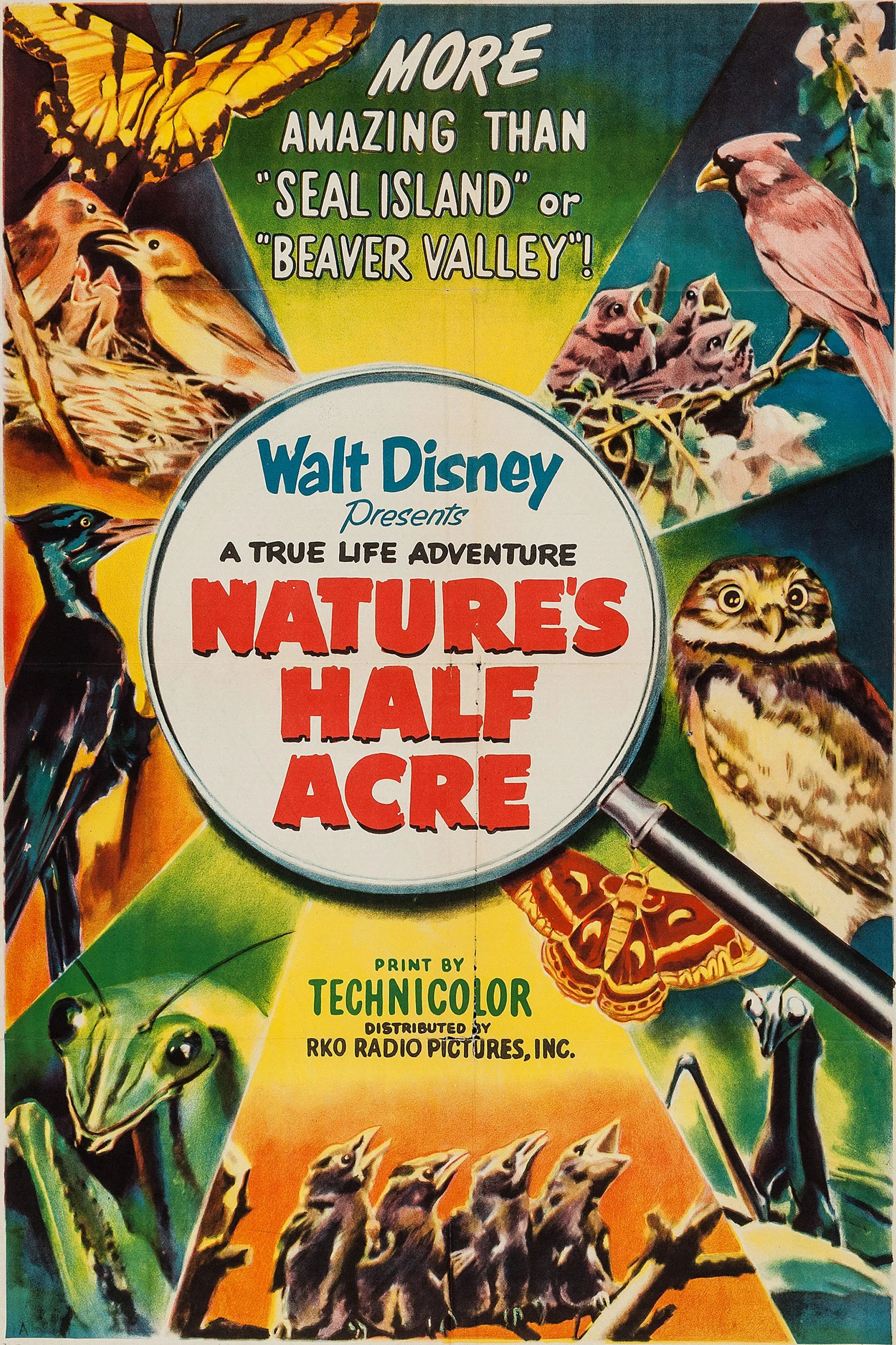 Nature’s Half Acre (1951)