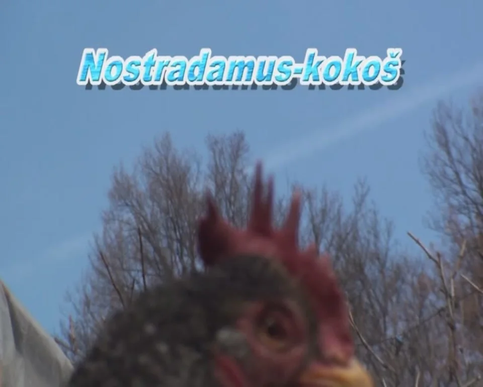 Nostradamus: 2012 (2009)