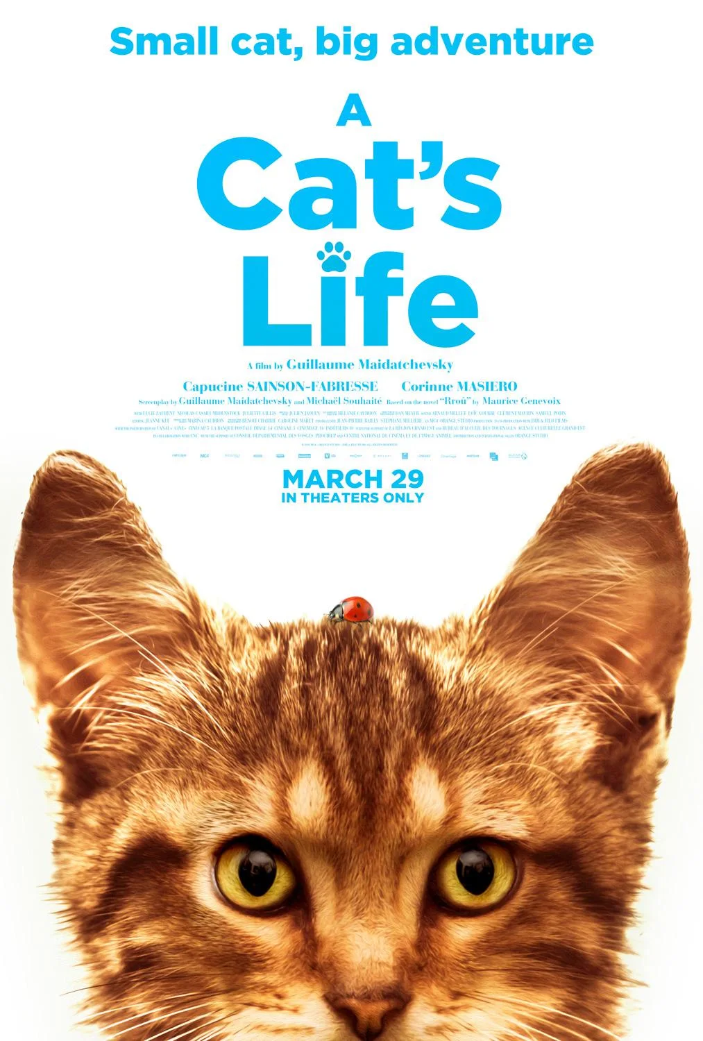 A Cat’s Life (2023)