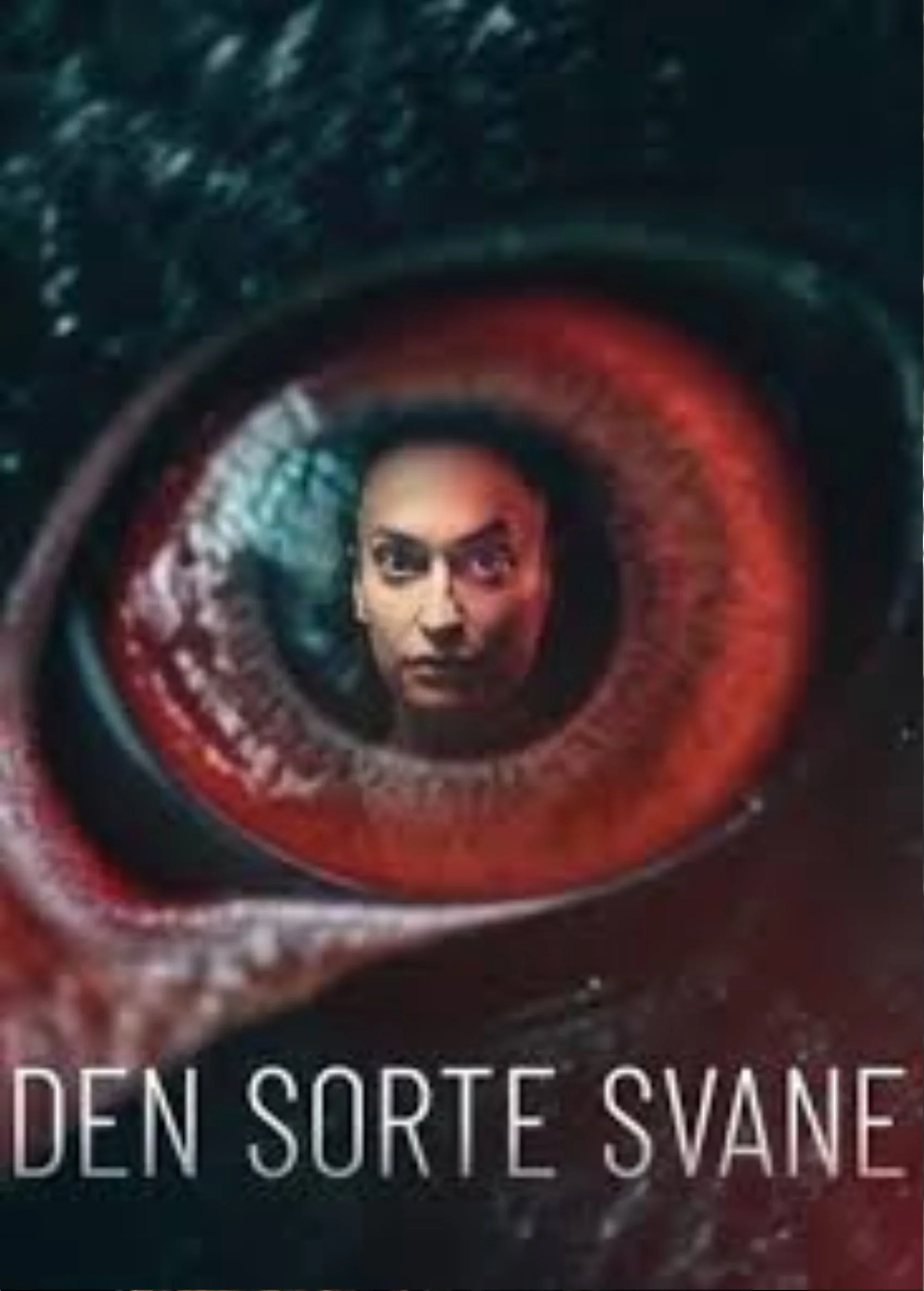 The Black Swan (1942)
