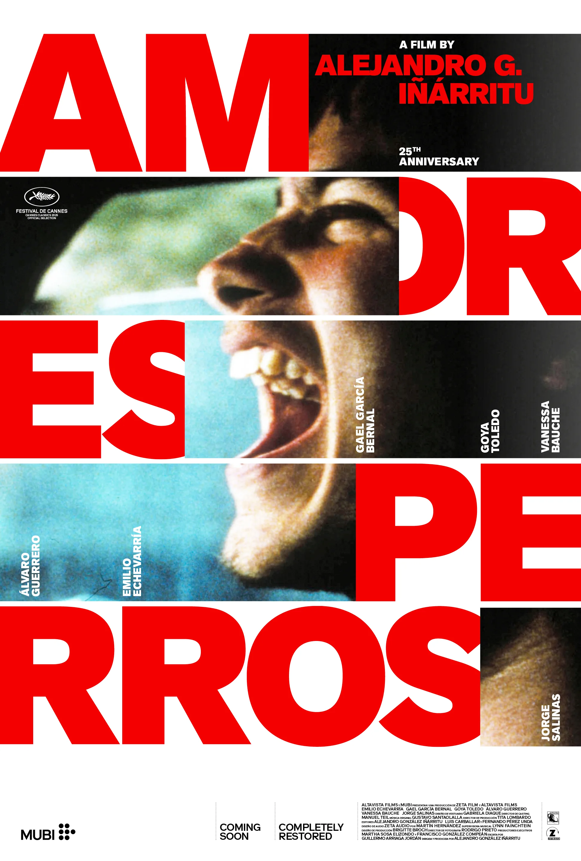 Amores Perros (2000)