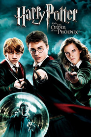 Harry Potter and the Order of the Phoenix 2007 Online Subtitrat