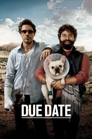 Due Date – Sorocul (2010)
