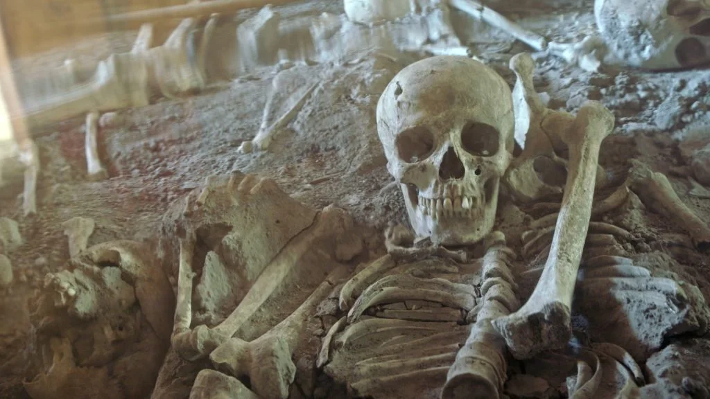 Unsterbliches Pompeji (2019)