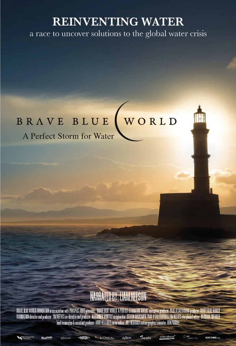 Brave Blue World (2020)
