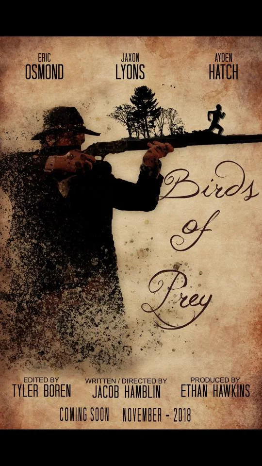 Birds of Prey (2020)