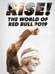 Bull (2019)