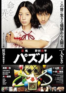 Puzzle (2014)